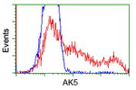 AK5 Antibody in Flow Cytometry (Flow)