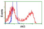AK5 Antibody in Flow Cytometry (Flow)
