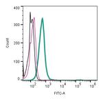 KISS1 Receptor (GPR54) (extracellular) Antibody in Flow Cytometry (Flow)