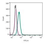 KISS1 Receptor (GPR54) (extracellular) Antibody in Flow Cytometry (Flow)