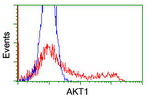 AKT1 Antibody in Flow Cytometry (Flow)