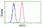 AKT2 Antibody in Flow Cytometry (Flow)