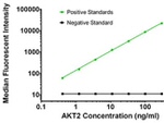 AKT2 Antibody in Luminex (Luminex)