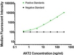 AKT2 Antibody in Luminex (Luminex)