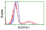 ALDH1L1 Antibody in Flow Cytometry (Flow)