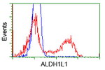 ALDH1L1 Antibody in Flow Cytometry (Flow)