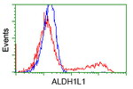 ALDH1L1 Antibody in Flow Cytometry (Flow)