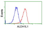 ALDH1L1 Antibody in Flow Cytometry (Flow)