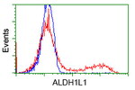 ALDH1L1 Antibody in Flow Cytometry (Flow)