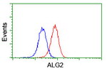 ALG2 Antibody in Flow Cytometry (Flow)