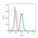 CLEC7A/Dectin-1 (extracellular) Antibody in Flow Cytometry (Flow)