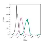 CLEC7A/Dectin-1 (extracellular) Antibody in Flow Cytometry (Flow)