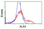 ALX4 Antibody in Flow Cytometry (Flow)