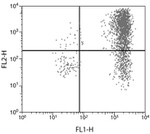 IL-6 Monoclonal Antibody (MP5 20F3)