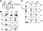 IFN gamma Antibody in Flow Cytometry (Flow)