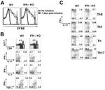 IFN gamma Antibody in Flow Cytometry (Flow)