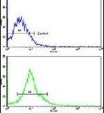 AMFR Antibody in Flow Cytometry (Flow)