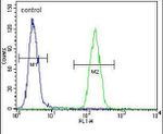 AMN1 Antibody in Flow Cytometry (Flow)