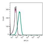 MRGPRX2 (extracellular) Antibody in Flow Cytometry (Flow)