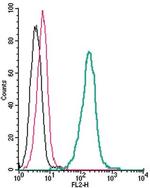Serotonin Transporter (SERT) (extracellular) Antibody in Flow Cytometry (Flow)