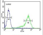 ANGPTL1 Antibody in Flow Cytometry (Flow)