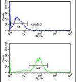 ANO7 Antibody in Flow Cytometry (Flow)