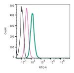 Beta 2 Na+/K+ ATPase (extracellular) Antibody in Flow Cytometry (Flow)