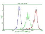 ANP32C Antibody in Flow Cytometry (Flow)