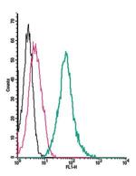 NPY1R (extracellular) Antibody in Flow Cytometry (Flow)