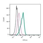 NrCAM (extracellular) Antibody in Flow Cytometry (Flow)