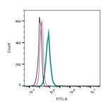 NrCAM (extracellular) Antibody in Flow Cytometry (Flow)