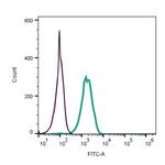 TMEM106B (extracellular) Antibody in Flow Cytometry (Flow)