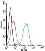 Robo1 (extracellular) Antibody in Flow Cytometry (Flow)