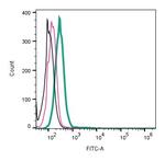 Robo1 (extracellular) Antibody in Flow Cytometry (Flow)