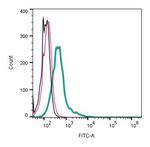 Robo1 (extracellular) Antibody in Flow Cytometry (Flow)