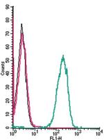 Tetraspanin-3 (extracellular) Antibody in Flow Cytometry (Flow)