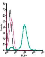 Tetraspanin 7 (extracellular) Antibody in Flow Cytometry (Flow)