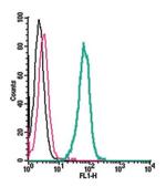 Neogenin (extracellular) Antibody in Flow Cytometry (Flow)