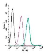 Neogenin (extracellular) Polyclonal Antibody, FITC