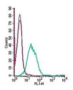 Neogenin (extracellular) Antibody in Flow Cytometry (Flow)