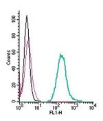 Neogenin (extracellular) Antibody in Flow Cytometry (Flow)