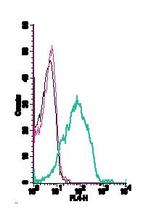 CADM1/SynCAM (extracellular) Antibody in Flow Cytometry (Flow)
