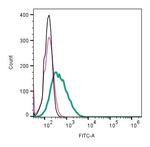 CD81 (extracellular) Antibody in Flow Cytometry (Flow)