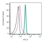 CD81 (extracellular) Antibody in Flow Cytometry (Flow)