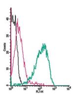 p75 NGF Receptor (extracellular) Antibody in Flow Cytometry (Flow)