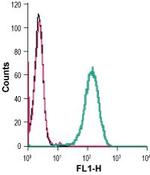 CD39 (extracellular) Antibody in Flow Cytometry (Flow)