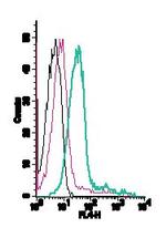 ENPP1 (extracellular) Antibody in Flow Cytometry (Flow)