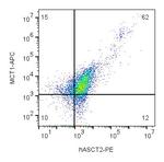 ASCT2/SLC1A5 (extracellular) Polyclonal Antibody, PE