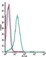 LAT2 (SLC7A8) (extracellular) Antibody in Flow Cytometry (Flow)