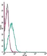 SLC41A2 (extracellular) Antibody in Flow Cytometry (Flow)